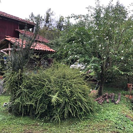 Gomis Mta Riverside Ozurget'i Bagian luar foto