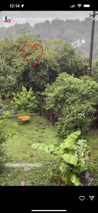 Gomis Mta Riverside Ozurget'i Bagian luar foto