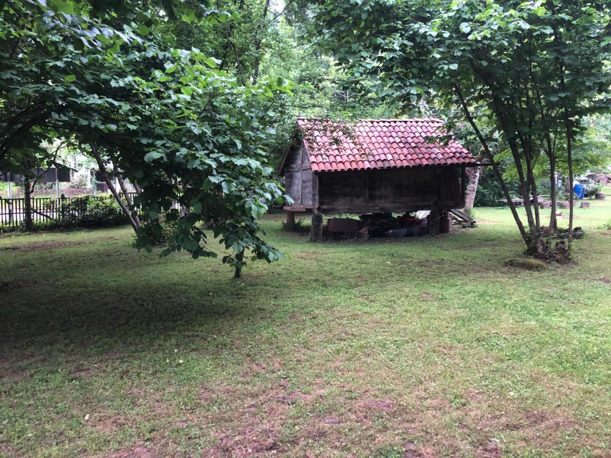 Gomis Mta Riverside Ozurget'i Bagian luar foto