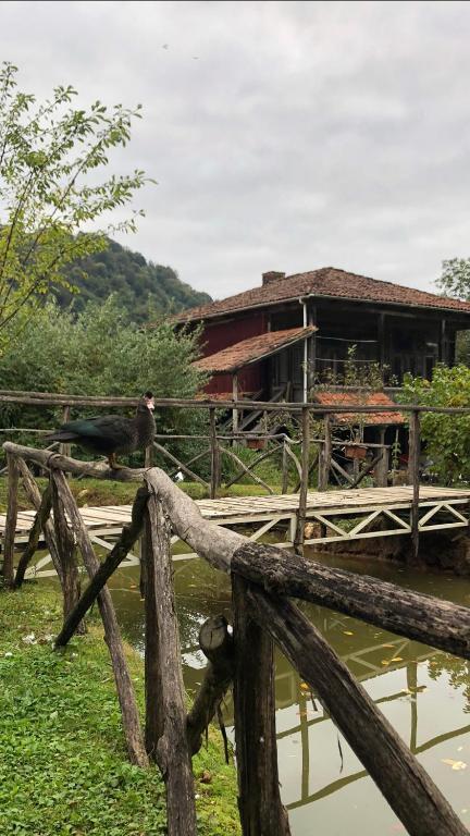 Gomis Mta Riverside Ozurget'i Bagian luar foto