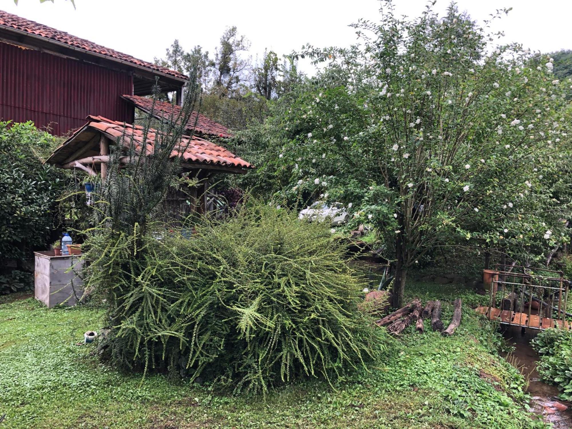 Gomis Mta Riverside Ozurget'i Bagian luar foto